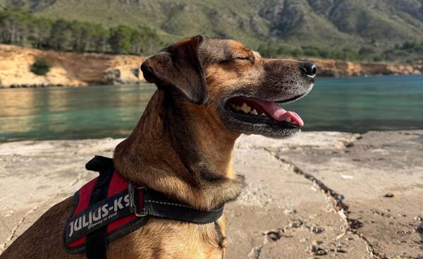 Un dia en mi vida en Mallorca. Paseo por el Parque natural de Llevant, cerca de Betlem en Mallorca. Llegamos en nuestro Ford Fiesta MK1 del año 80.